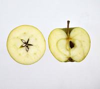 Sturmer Pippin Apple